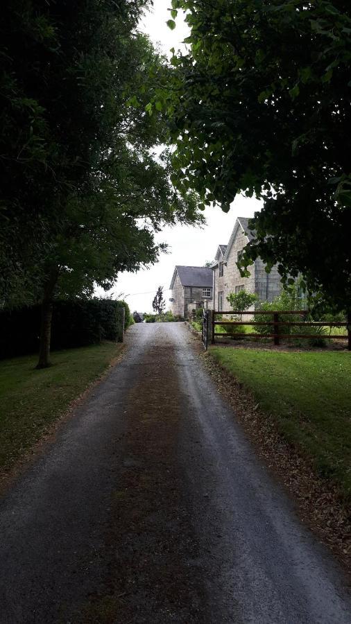 Lorum Old Rectory Bagenalstown Екстериор снимка